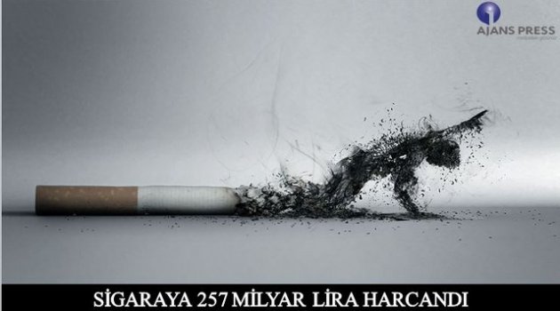 2006- 2015 Yılları Arası Sigaraya Ne Kadar Para Harcadık