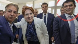 İlginç bağlantılar, tuhaf olaylar: Kavuncu Hanedanı