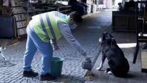 BEŞİKTAŞ BELEDİYESİ CAN DOSTLARINI YALNIZ BIRAKMADI!
