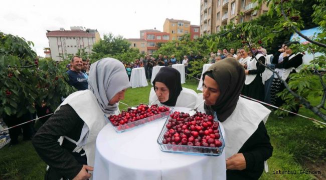 Bağcılar’da Kiraz Festivali Coşkusu...
