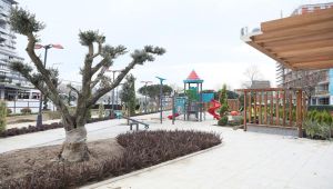 MASSAN PARKI ÇOK YAKINDA AÇILIYOR