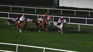 Muhittin Ekiz Koşusu'nu Pıtır kazandı