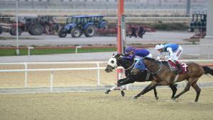 Tarcan İşcen Koşusu’nu Denso kazandı