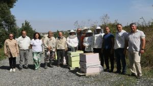 Büyükçekmece’de ilk bal hasadı gerçekleşti