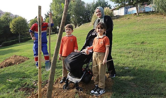 HER BEBEK BİR AĞAÇLA BÜYÜYOR: KÂĞITHANE'DE YEŞİL GELECEK...