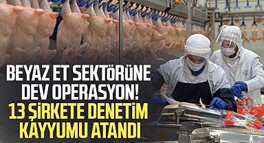 Beyaz et sektörüne dev operasyon! 13 şirkete denetim kayyumu atandı!..
