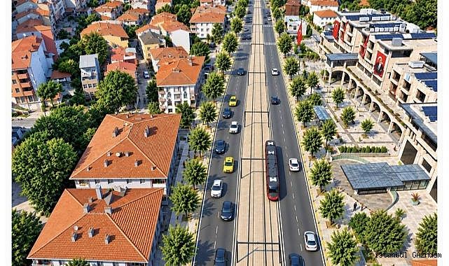 Eyüpsultan’da Ağaç katliamına “deplase” kılıfı mı? 168 ağaç taşınıyor!..