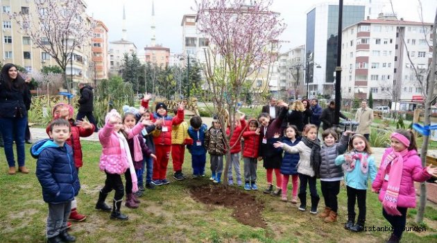 BİNA DEĞİL AĞAÇ DİKİLECEK