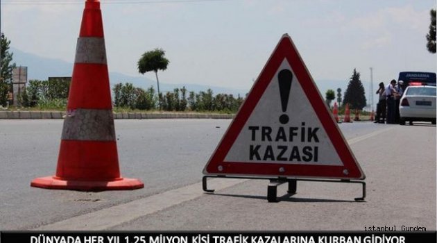 Dünyada Her Yıl Trafik Kazalarında Kaç Kişi Ölüyor