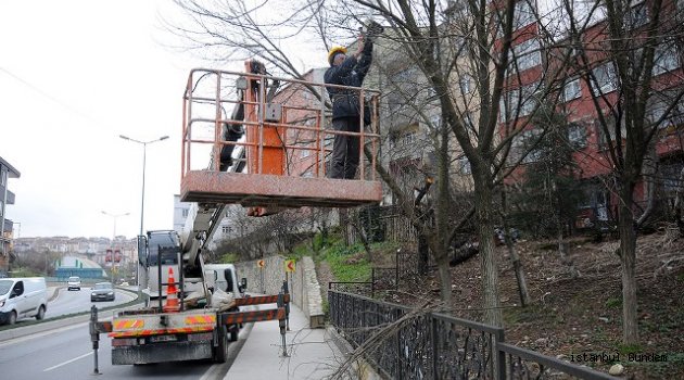 Gaziosmanpaşa’da Ağaç Budama Çalışmalarının Sonuna Yaklaşıldı