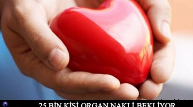 Türkiye' de Organ Nakli Bekeleyen Kaç Kişi Var